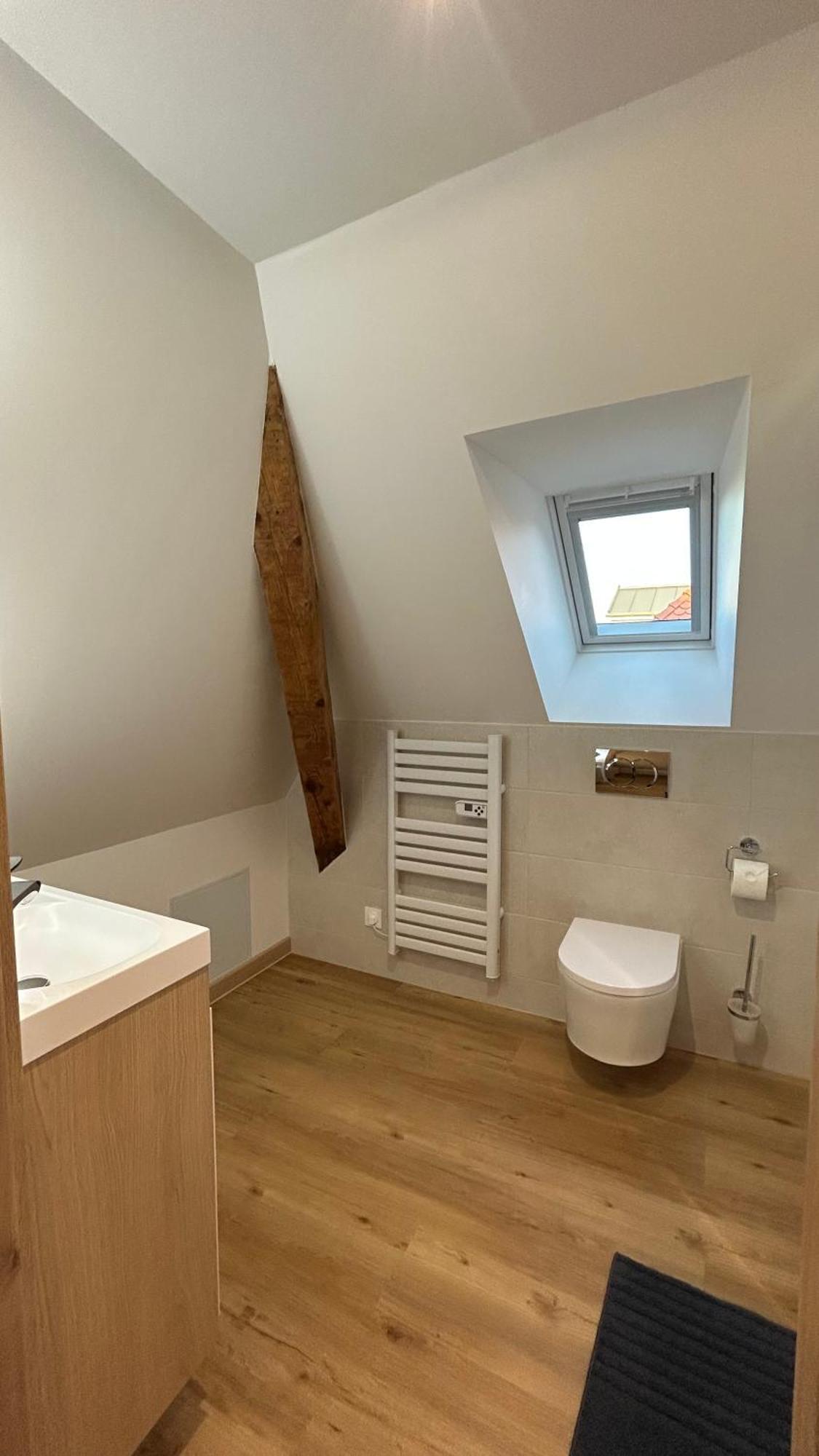 Appartement Moderne Et Spacieux, A 10 Min De La Gare Colmar Exteriör bild