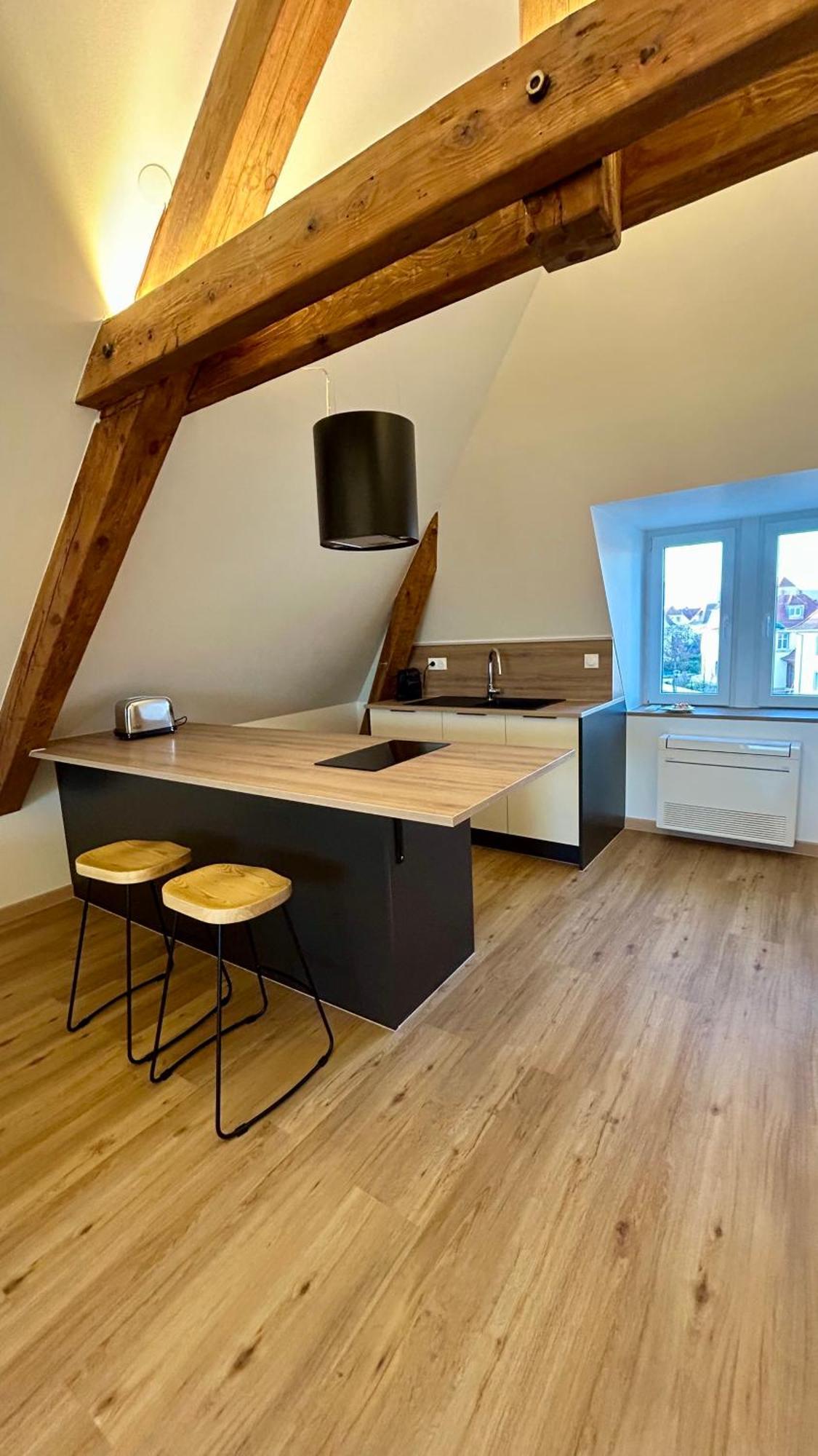 Appartement Moderne Et Spacieux, A 10 Min De La Gare Colmar Exteriör bild