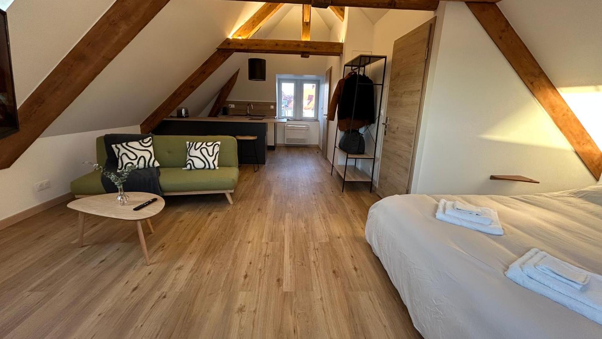 Appartement Moderne Et Spacieux, A 10 Min De La Gare Colmar Exteriör bild